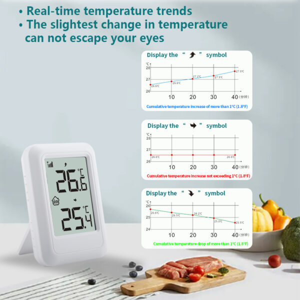 FT0401 Mini Digital Indoor/Outdoor Thermometer 330 Feet 100M LCD Display Plastic Temperature Monitor for Home House Baby Room - Image 13
